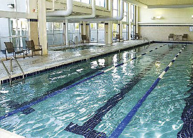 Großes Trainings-Metallrahmen-Pool mit Billardtisch-schnellem Einrichtungs-Swimmingpool
