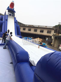 Kommerzielles riesiges scharfes langes aufblasbares Dia des Beleg-N für Kinder/erwachsenen Aqua-Park